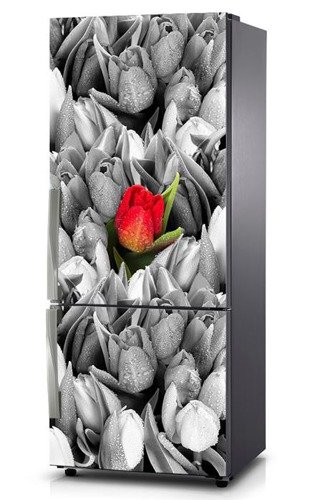 Naklejka na lodówkę - Samotny czerwony tulipan 0106