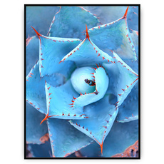 Plakat - Błękitna głębia