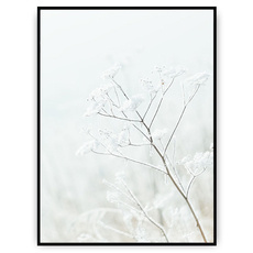 Plakat - Zimowa aura