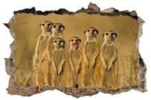 Naklejka na ścianę Dziura 3D Surykatki 0473