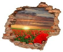 Naklejka na ścianę Dziura 3D Pole maków 0067