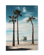 Drewniany plakat - Wysokie palmy