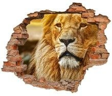 Naklejka na ścianę Dziura 3D Władca Afryki 0424