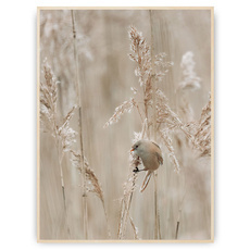 Plakat - Ptaszek na gałęzi