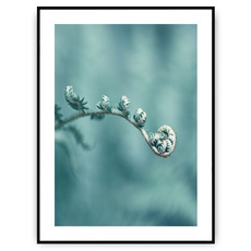 Plakat - Odcienie zieleni