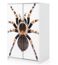 Naklejka na szafę - Brązowy pająk 0144