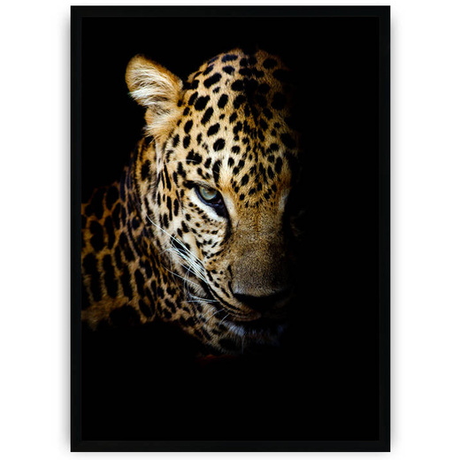 Plakat - Leopard