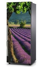 Naklejka na lodówkę - Widok na pole lawendowe 0048