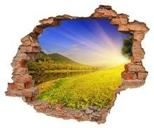 Naklejka na ścianę Dziura 3D Letnie słońce nad łąką 0071