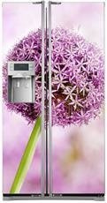 Naklejka na lodówkę side-by-side - Allium 0182