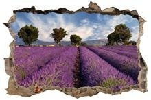 Naklejka na ścianę Dziura 3D Lawendowe pole 0204