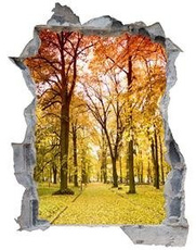 Naklejka na ścianę Dziura 3D - Jesienne liście 0003