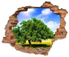 Naklejka na ścianę Dziura 3D Drzewo życia 0124