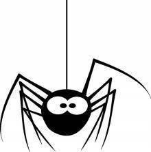 Naklejka na ścianę Pająk