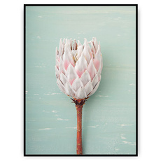 Plakat - Ucięty kwiat