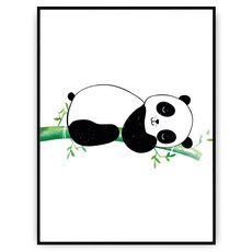 Plakat - Śpiąca panda