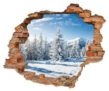 Naklejka na ścianę Dziura 3D Zimowy poranek w Karpatach 0084