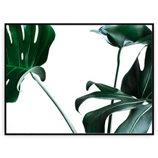 Plakat - Ogromne liście