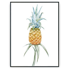 Plakat - Rosnący ananas v2
