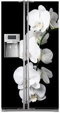 Naklejka na lodówkę side-by-side - Kwitnąca biała orchidea 0508