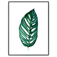 Plakat - Duży zielony liść