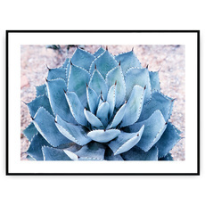 Plakat - Liście z kolcami