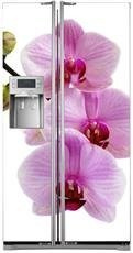 Naklejka na lodówkę side-by-side - Różowa orchidea 0139