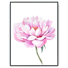 Plakat - Obfity kwiat