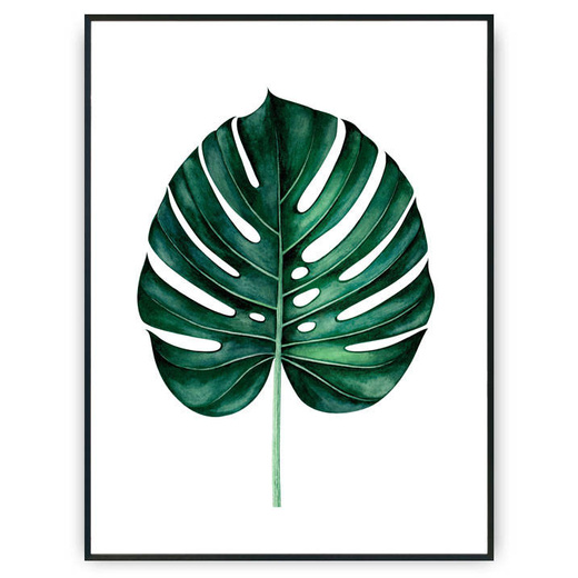 Plakat - Monstera v2