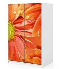 Naklejka na szafę - Dalie 0057