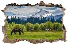 Naklejka na ścianę Dziura 3D Konie na górskie polanie 0217