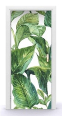 Naklejka na drzwi - Tropikalne liście 0675