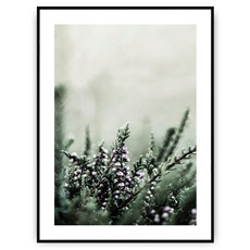 Plakat - Stonowane kolory