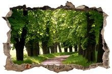 Naklejka na ścianę Dziura 3D Letnia ścieżka 0234