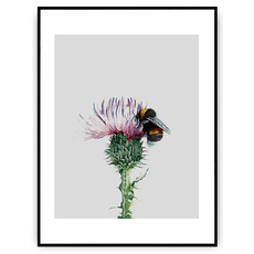 Plakat - Zbierając nektar