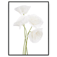 Plakat - Łodygi i kwiatostany