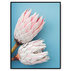 Plakat - Róż i turkus