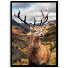 Plakat - Dostojny rogacz