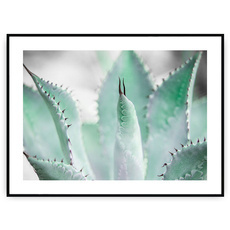 Plakat - Ostre piękno