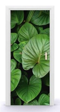 Naklejka na drzwi - Duża zielone liście 0684