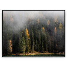 Plakat - Las we mgle