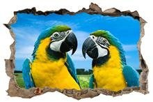 Naklejka na ścianę Dziura 3D Papugi 0453