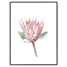 Plakat - Malowany kwiat v1