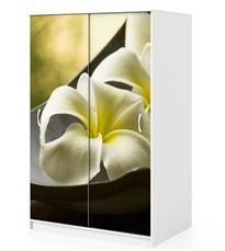 Naklejka na szafę - Kwiaty plumerii 0055