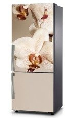 Naklejka na lodówkę - Kremowa orchidea 0153