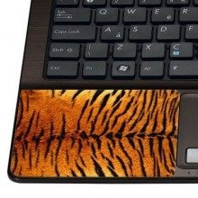 Naklejka pod nadgarstek - Tygrys 0001