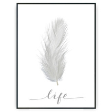 Plakat - Piórko