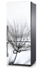 Naklejka na lodówkę - Rosa na dmuchawcu