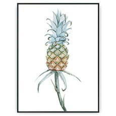 Plakat - Rosnący ananas