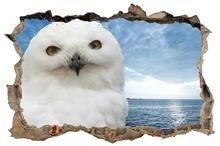 Naklejka na ścianę Dziura 3D Biała sowa 0468